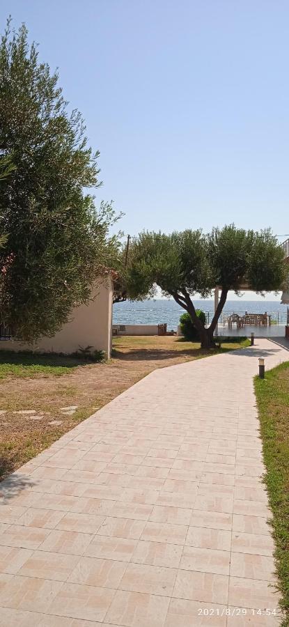 Aparthotel Lemonis House Nea Skioni Zewnętrze zdjęcie